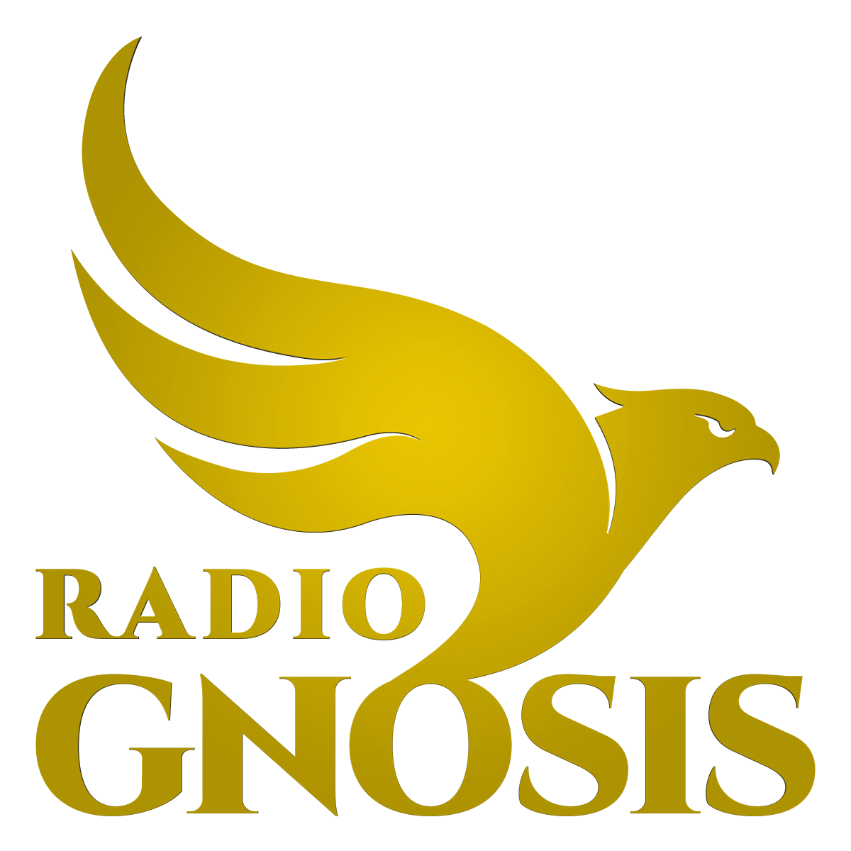Logo Portada